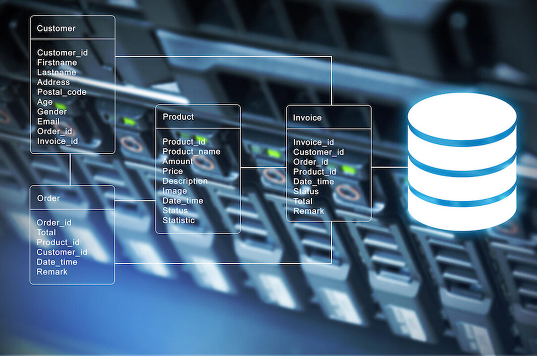 Technology Services